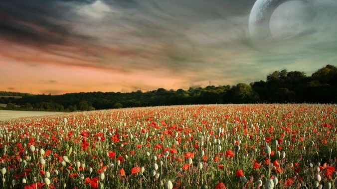 obsidian用一两年后会有多大?全文搜索还快吗?